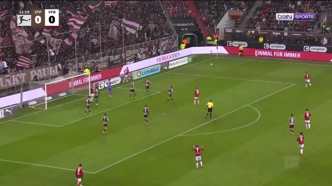 zaslepka skrotu video