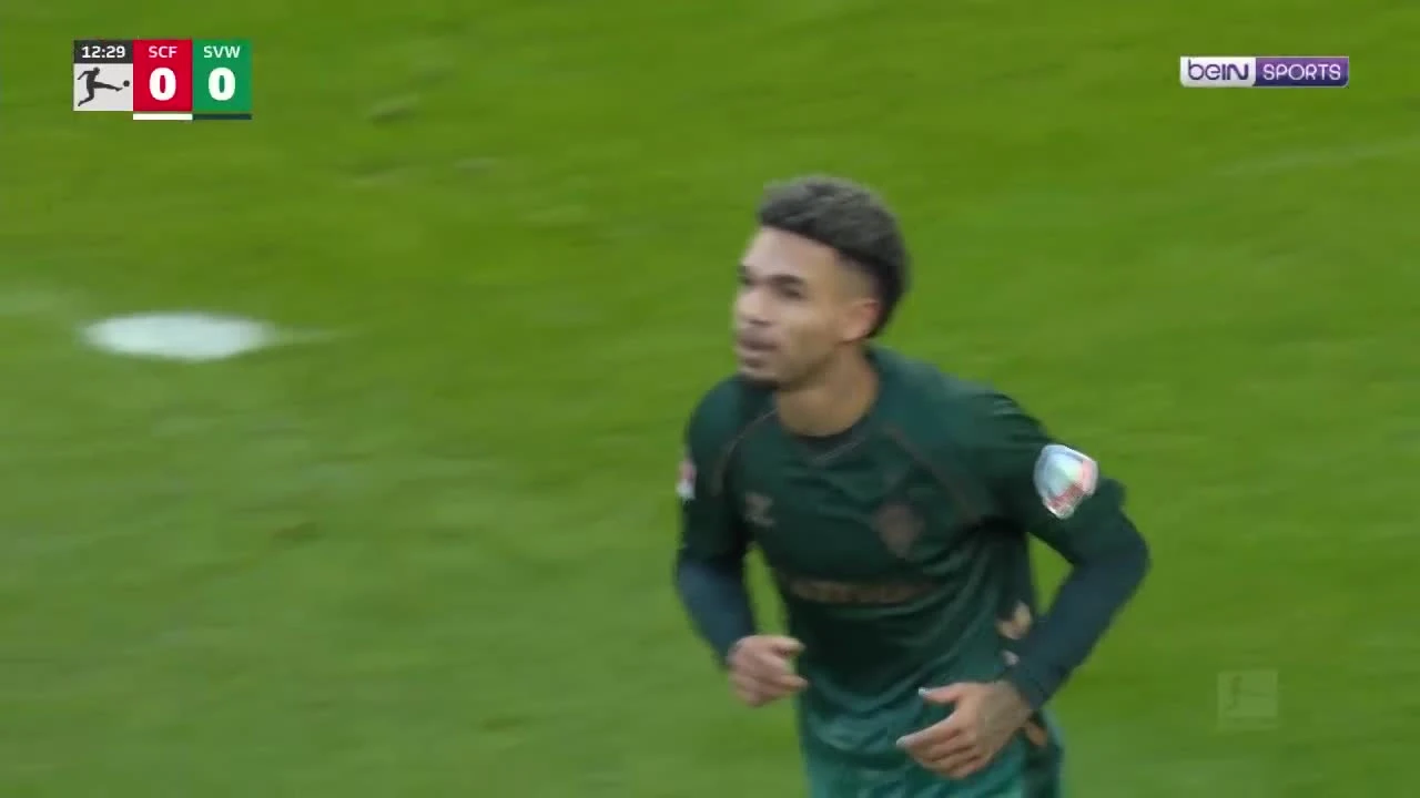 zaslepka skrotu video