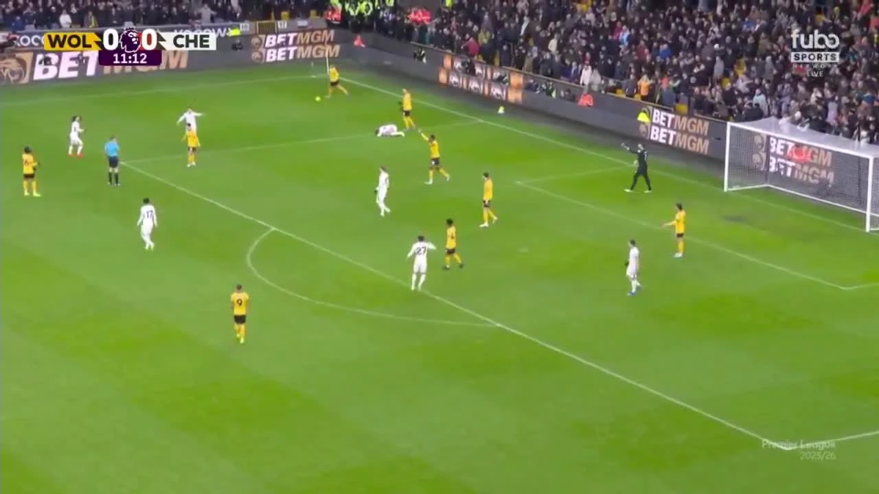 zaslepka skrotu video