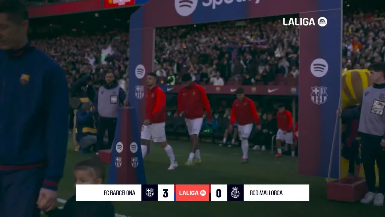 zaslepka skrotu video