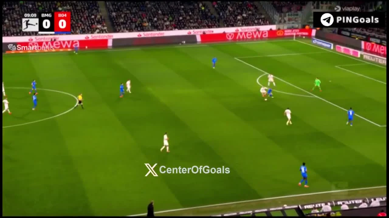 zaslepka skrotu video