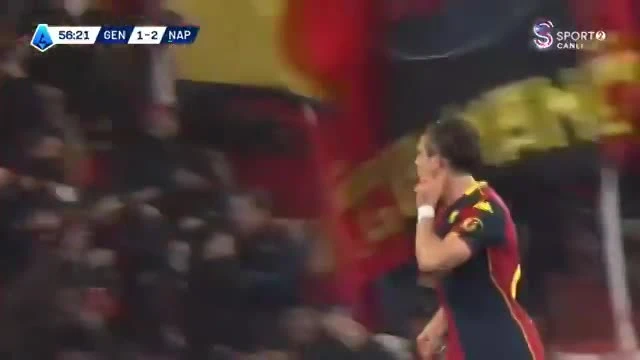 zaslepka skrotu video