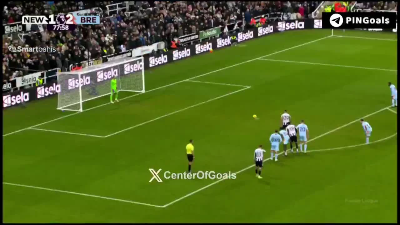 zaslepka skrotu video