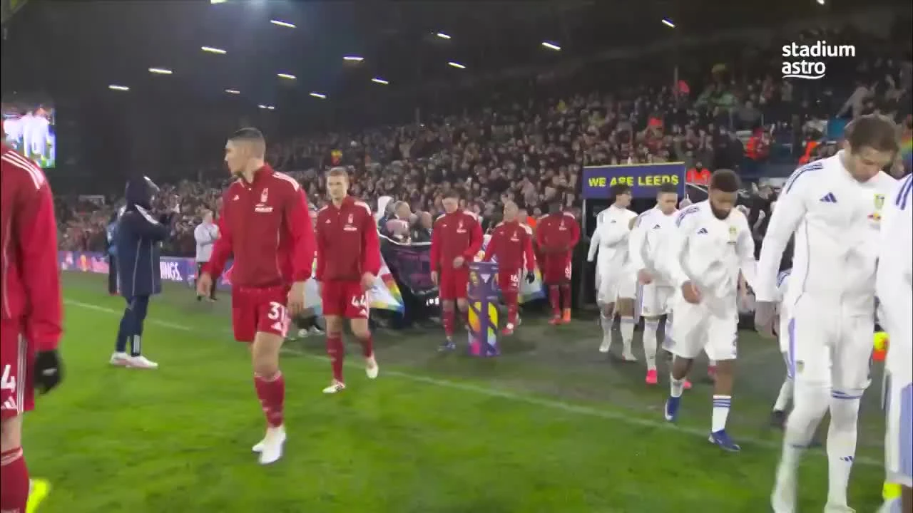 zaslepka skrotu video