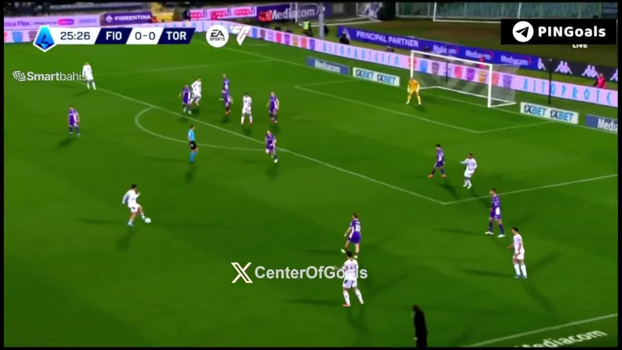 zaslepka skrotu video