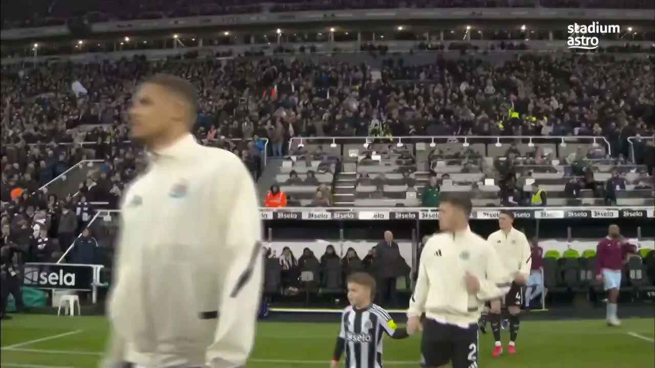 zaslepka skrotu video