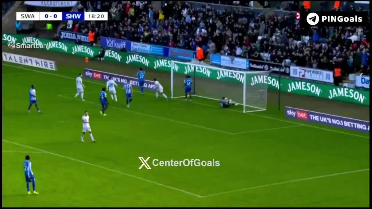 zaslepka skrotu video