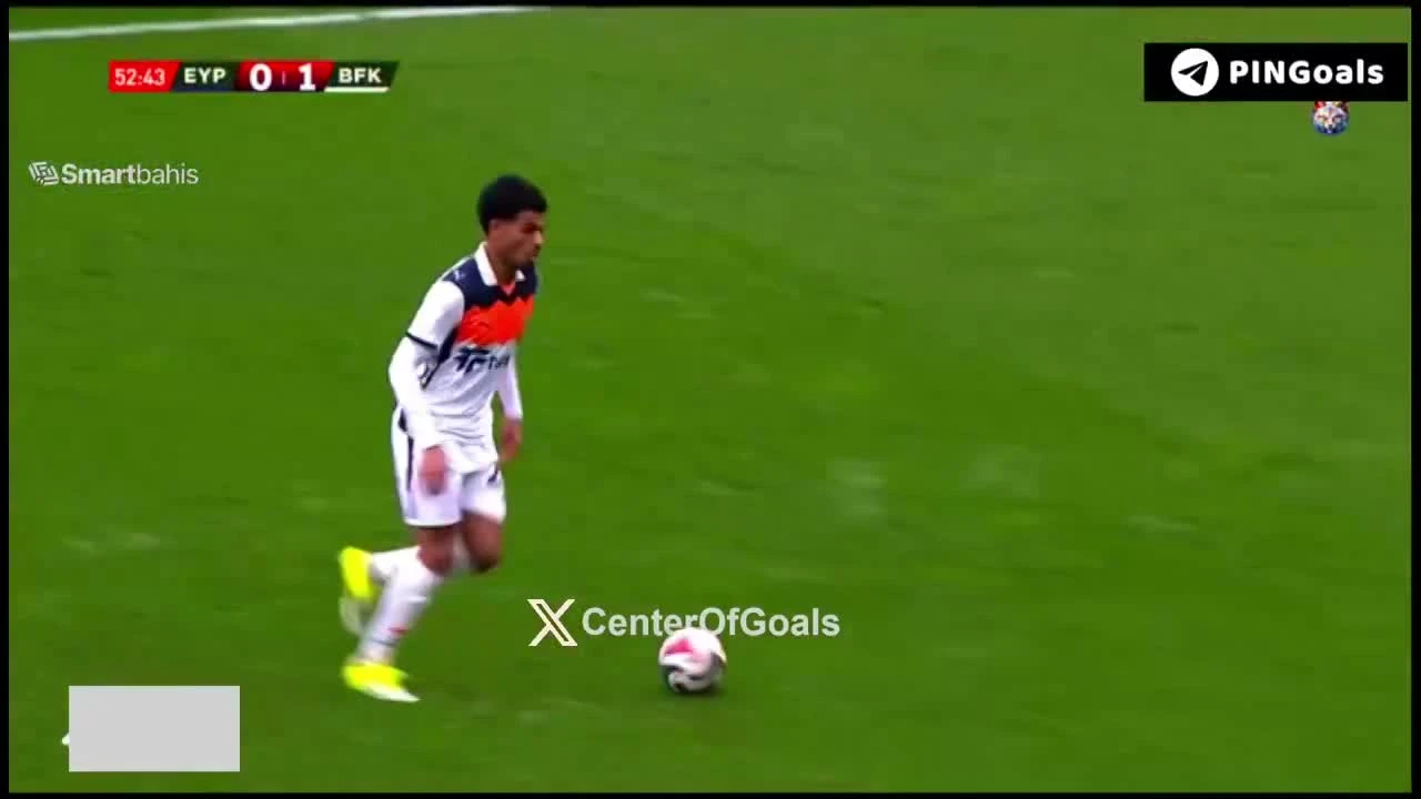 zaslepka skrotu video