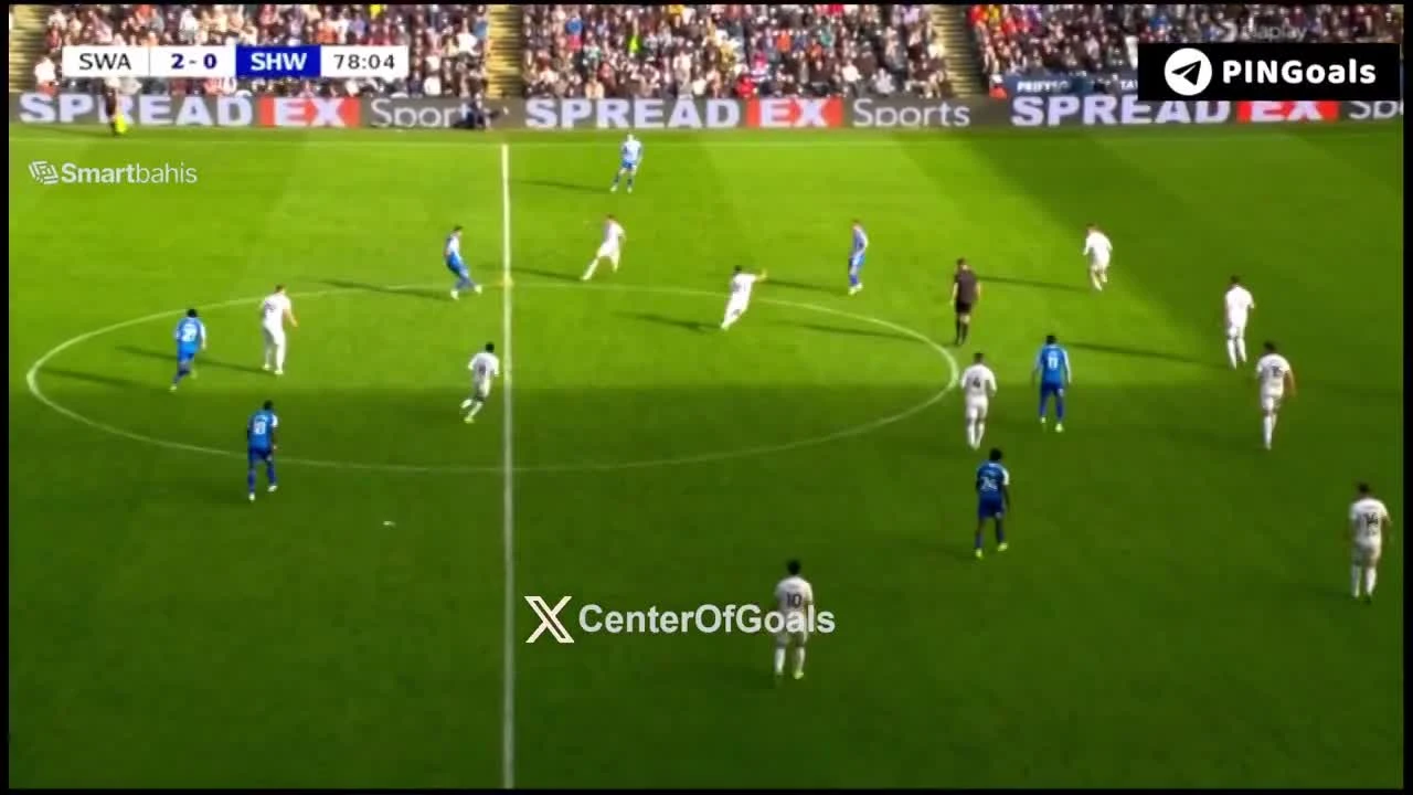 zaslepka skrotu video