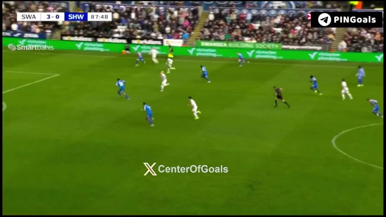 zaslepka skrotu video