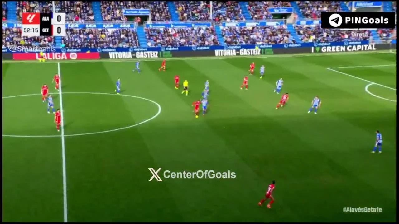 zaslepka skrotu video