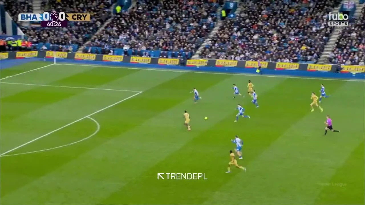 zaslepka skrotu video