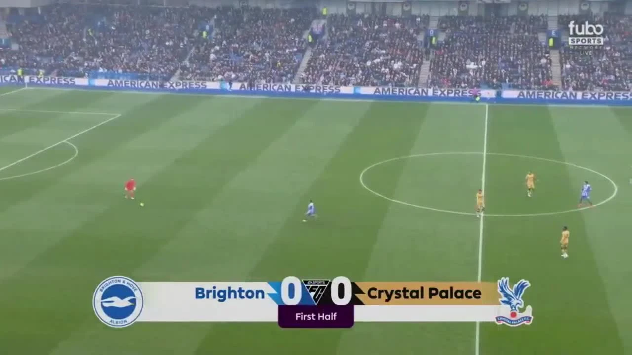 zaslepka skrotu video