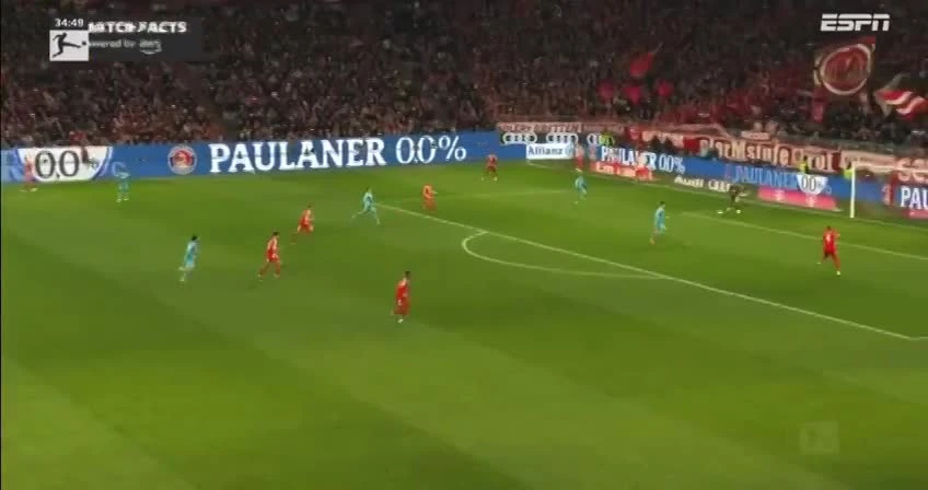 zaslepka skrotu video