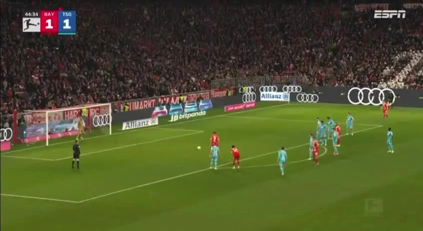 zaslepka skrotu video