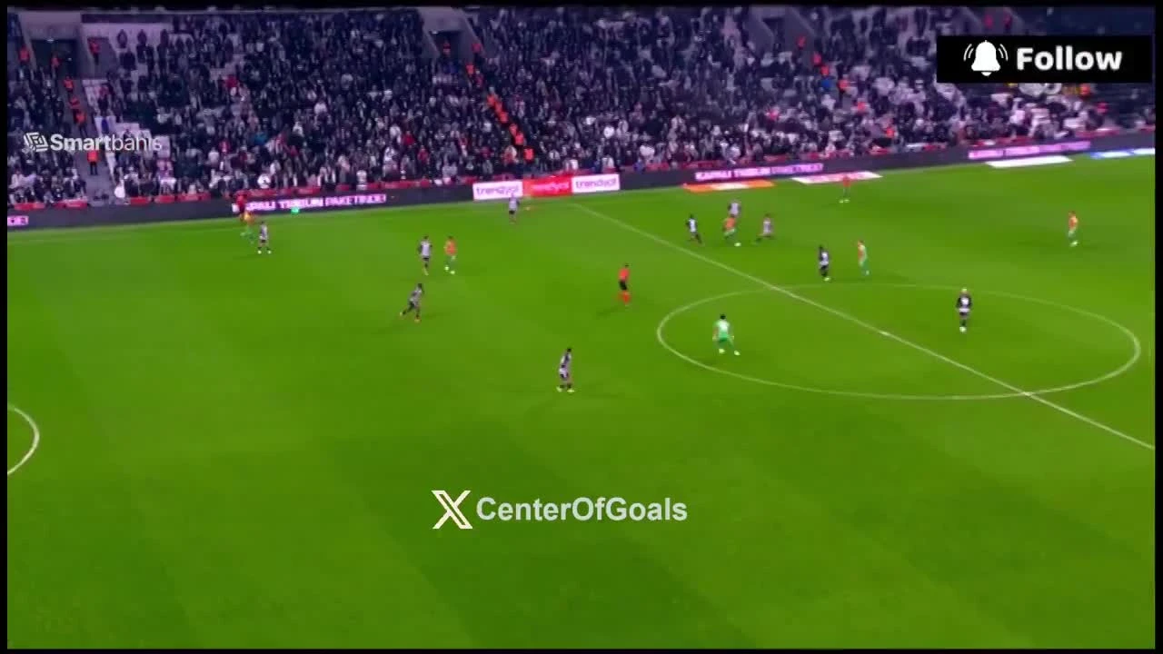 zaslepka skrotu video