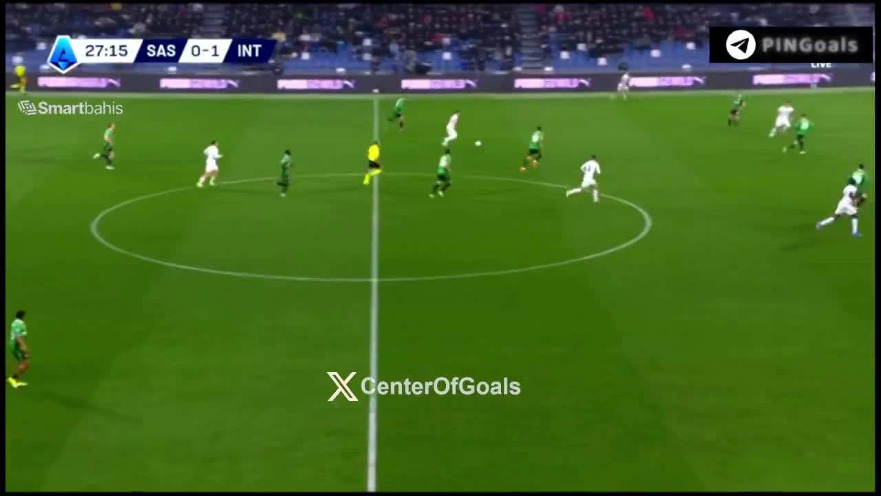 zaslepka skrotu video