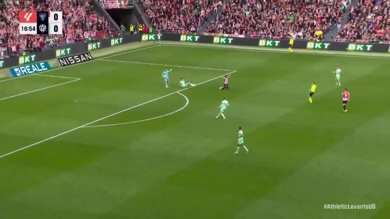 zaslepka skrotu video