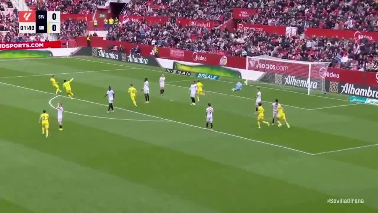 zaslepka skrotu video