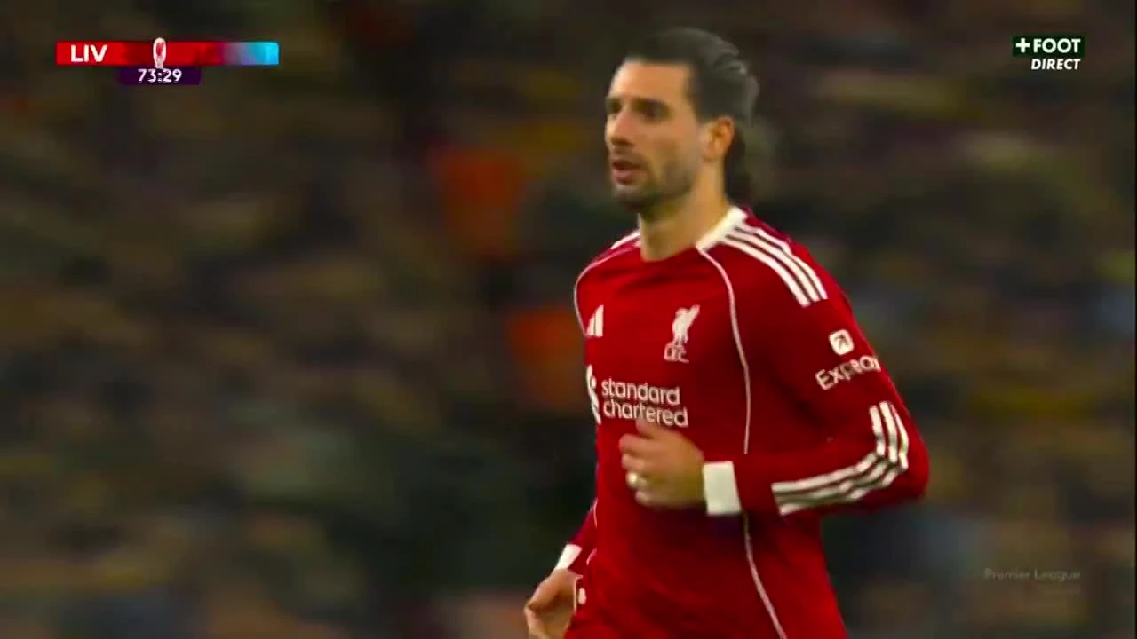 zaslepka skrotu video