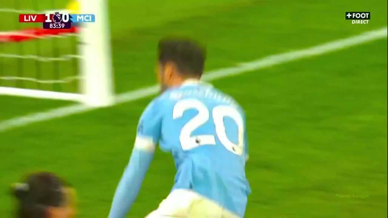 zaslepka skrotu video