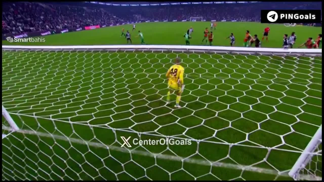 zaslepka skrotu video