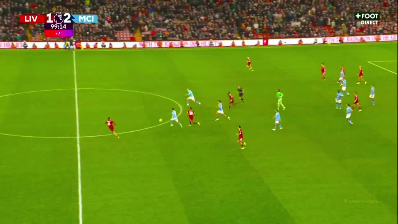 zaslepka skrotu video