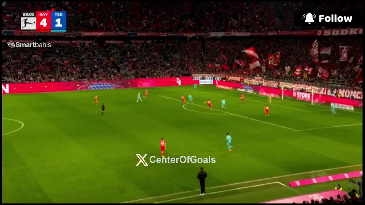 zaslepka skrotu video