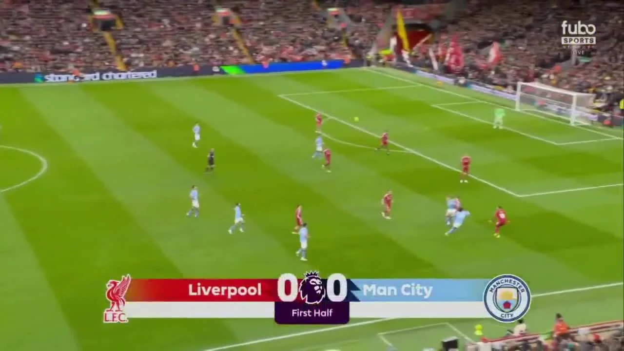 zaslepka skrotu video