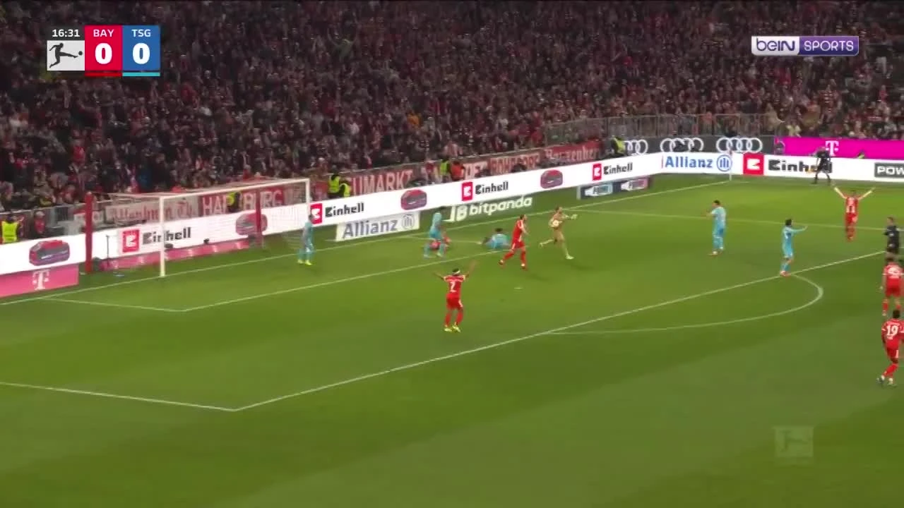 zaslepka skrotu video