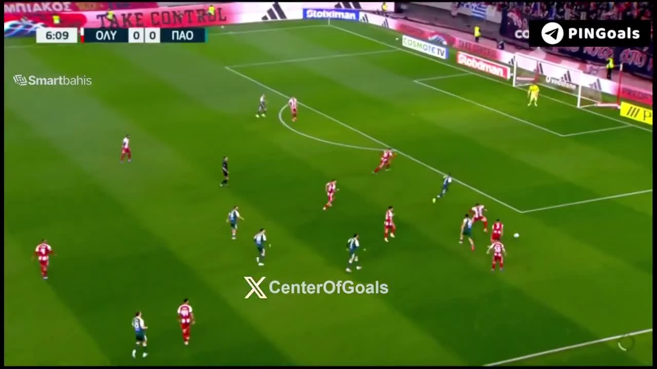 zaslepka skrotu video