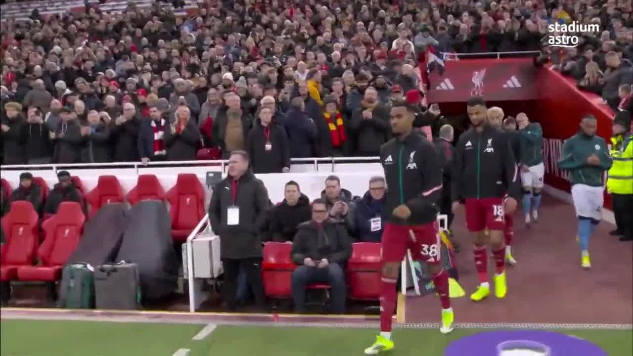 zaslepka skrotu video