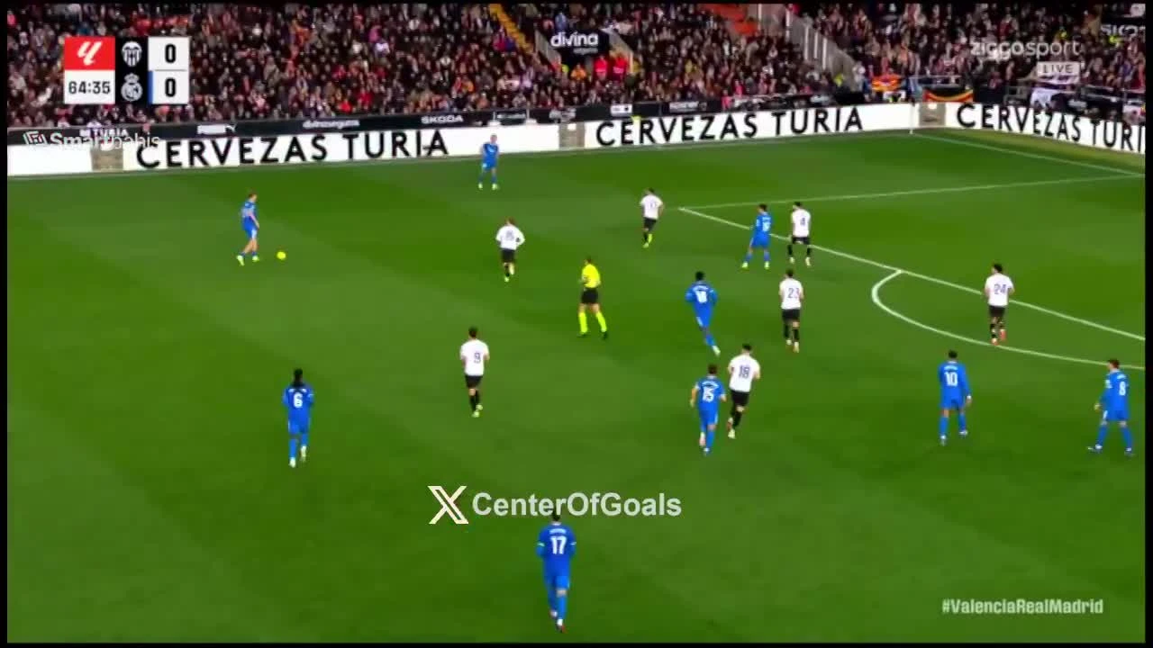 zaslepka skrotu video