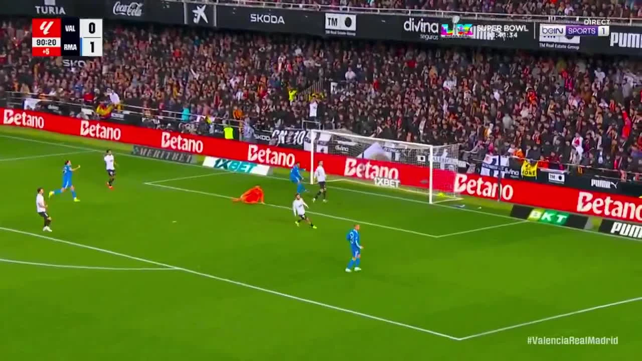 zaslepka skrotu video