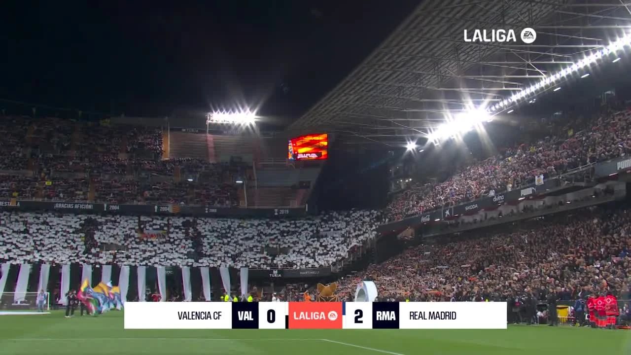 zaslepka skrotu video