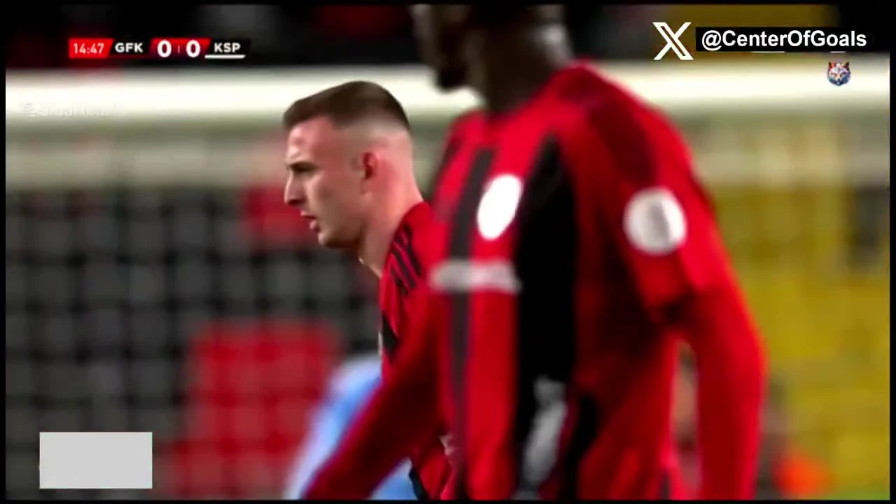 zaslepka skrotu video