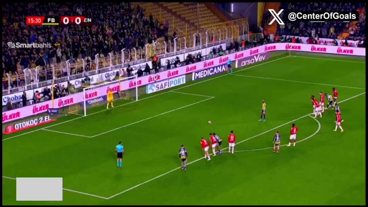 zaslepka skrotu video