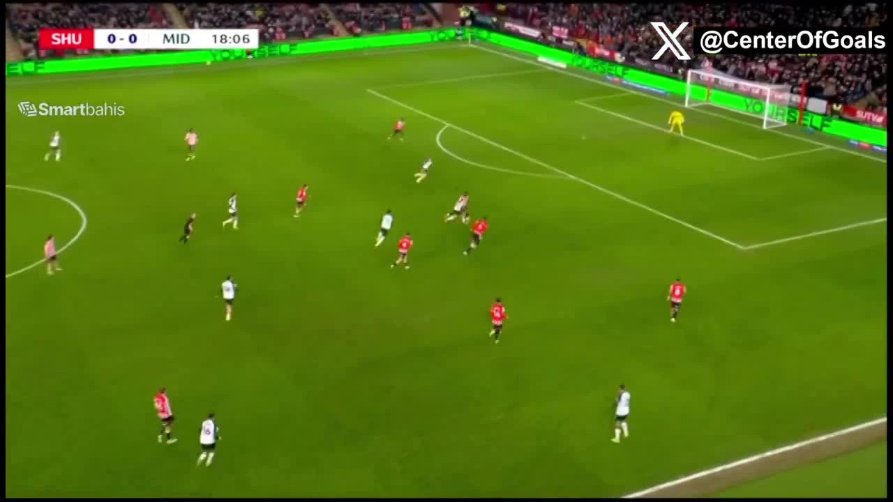 zaslepka skrotu video