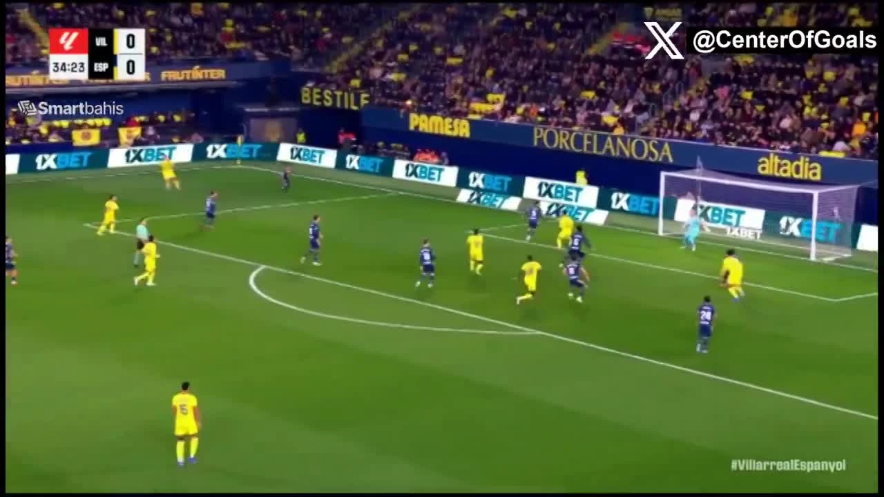 zaslepka skrotu video