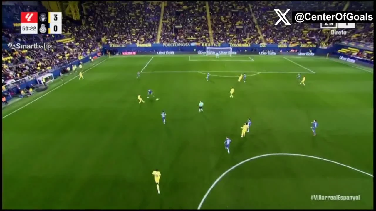 zaslepka skrotu video