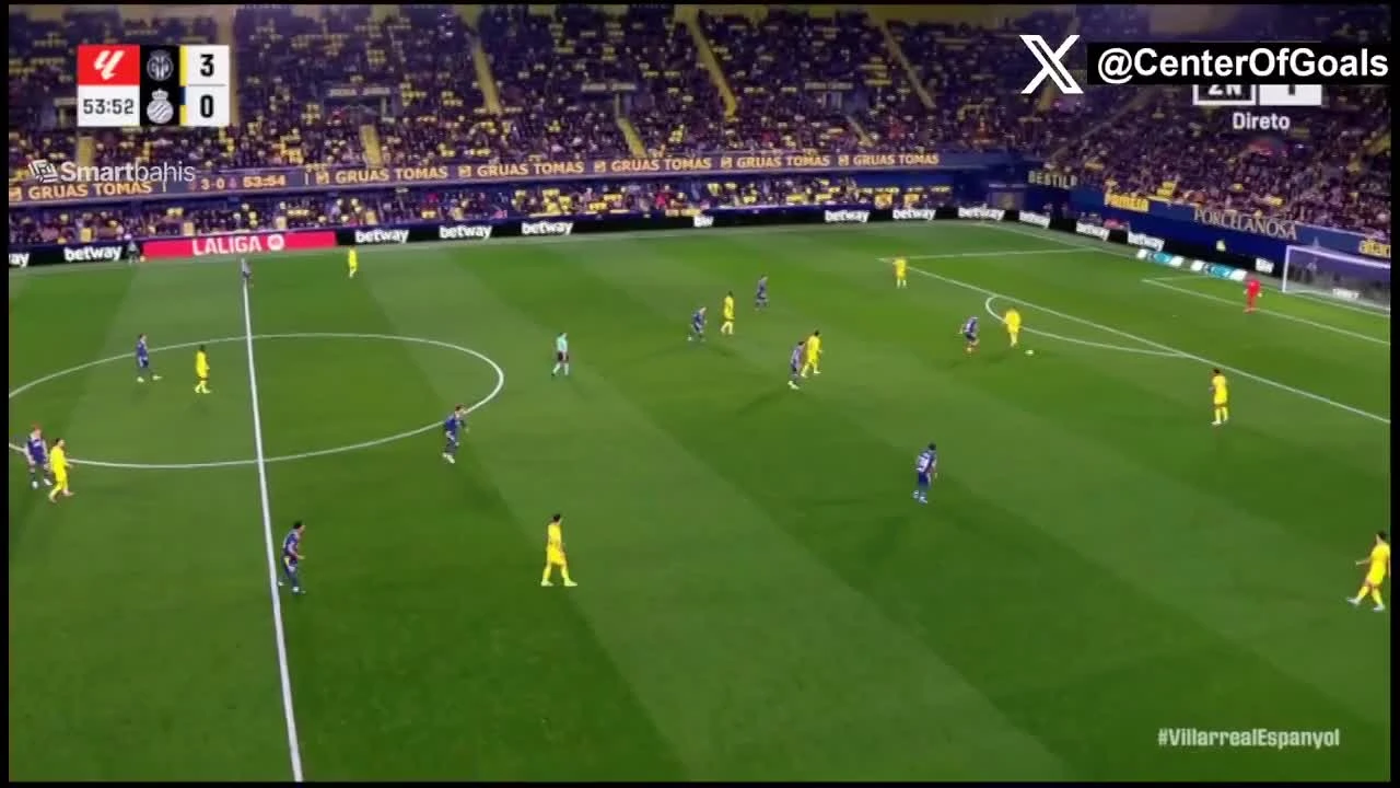 zaslepka skrotu video