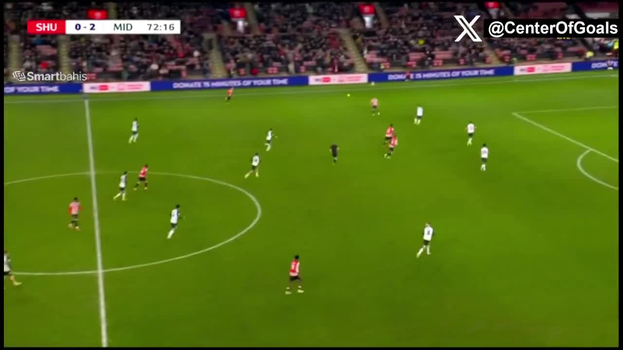 zaslepka skrotu video