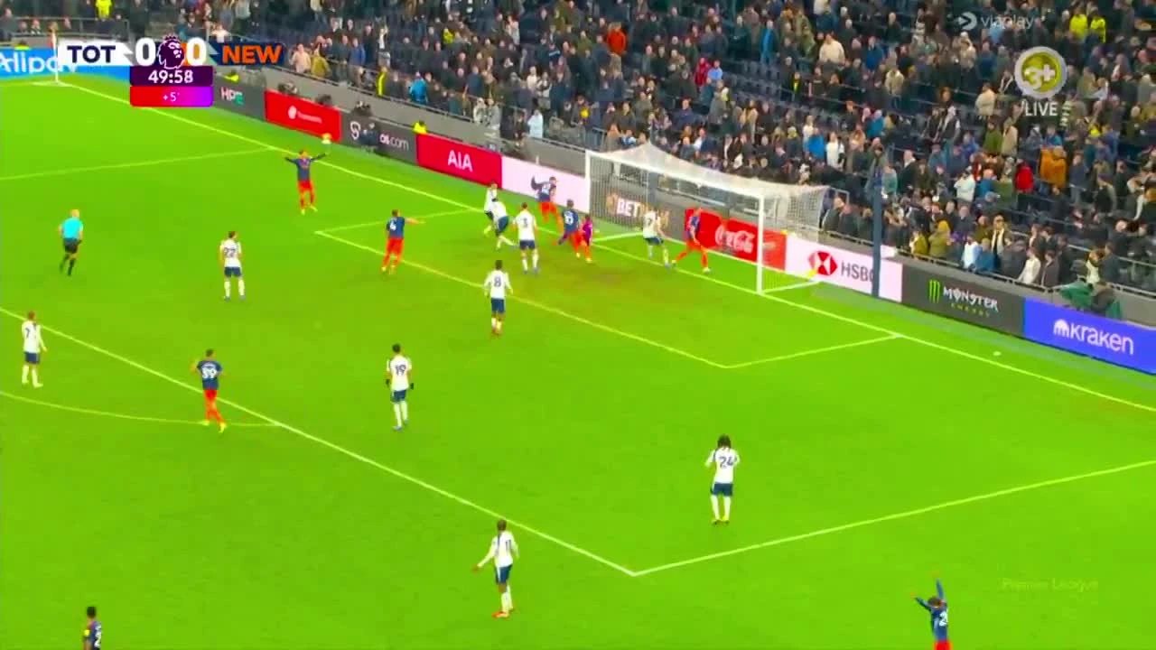 zaslepka skrotu video