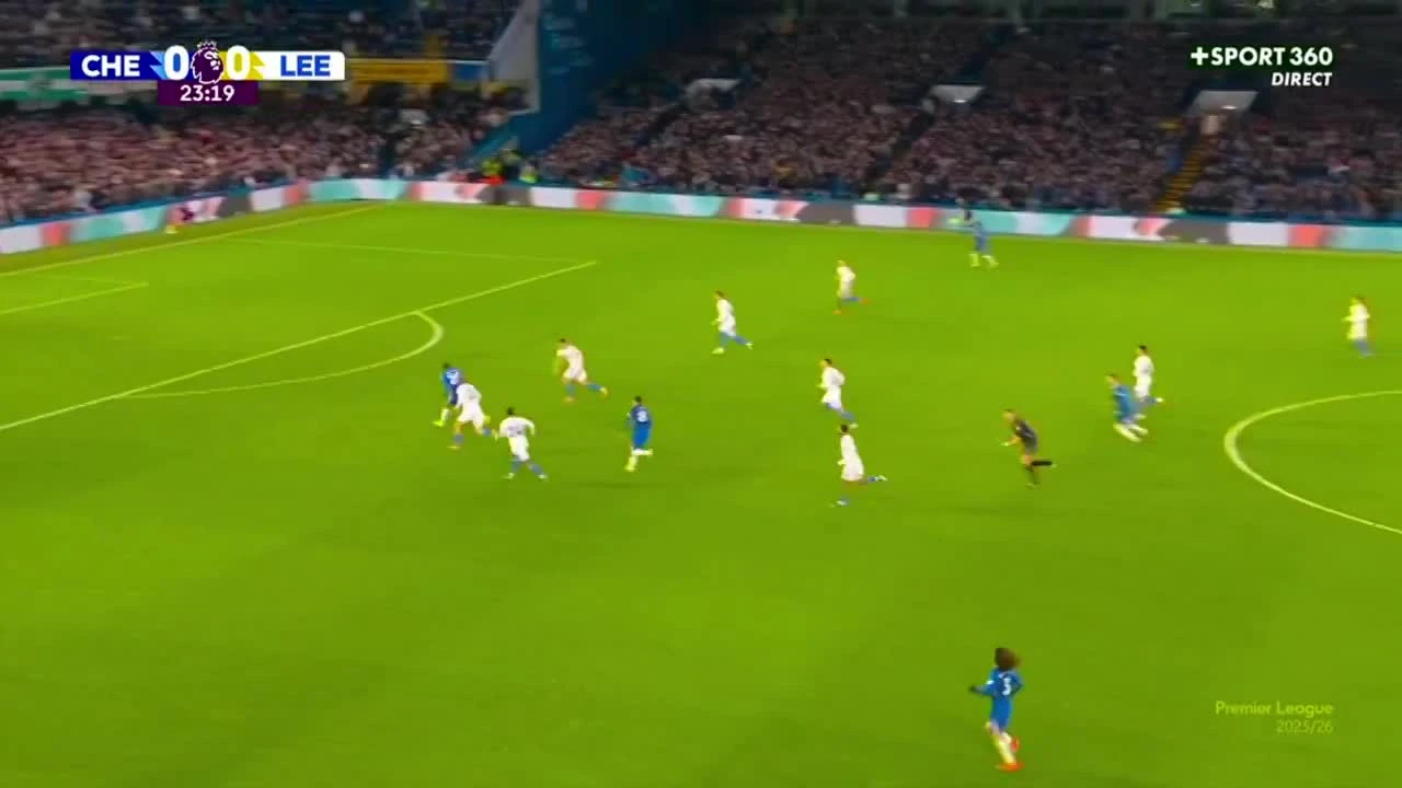 zaslepka skrotu video