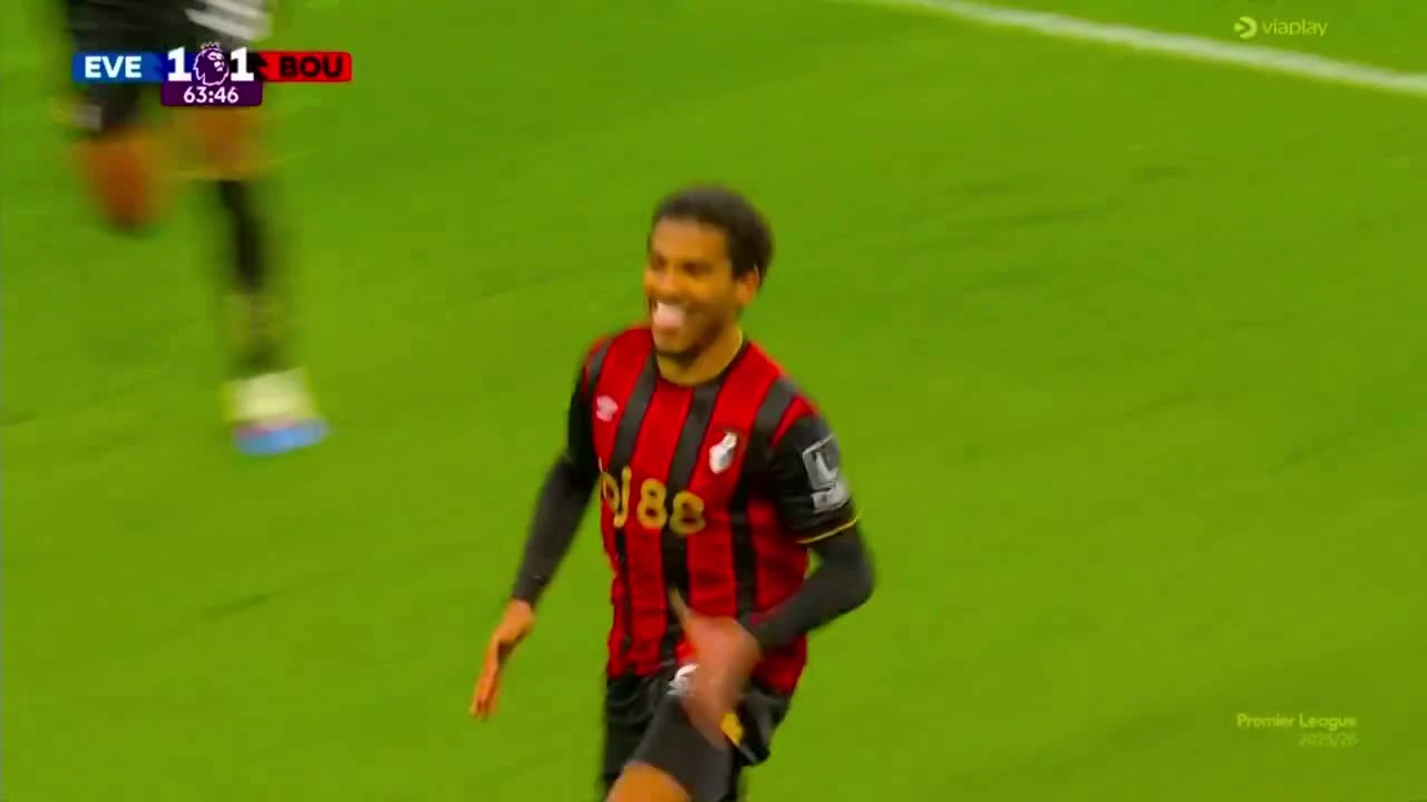 zaslepka skrotu video