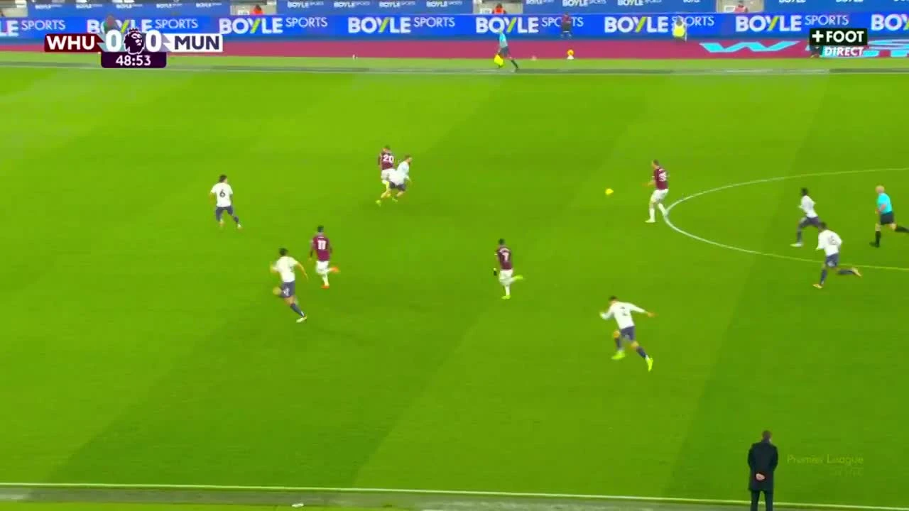 zaslepka skrotu video