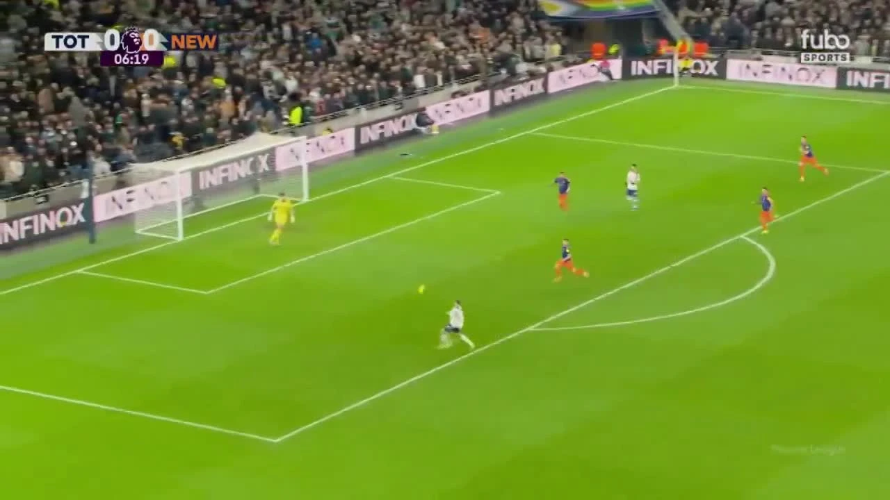 zaslepka skrotu video