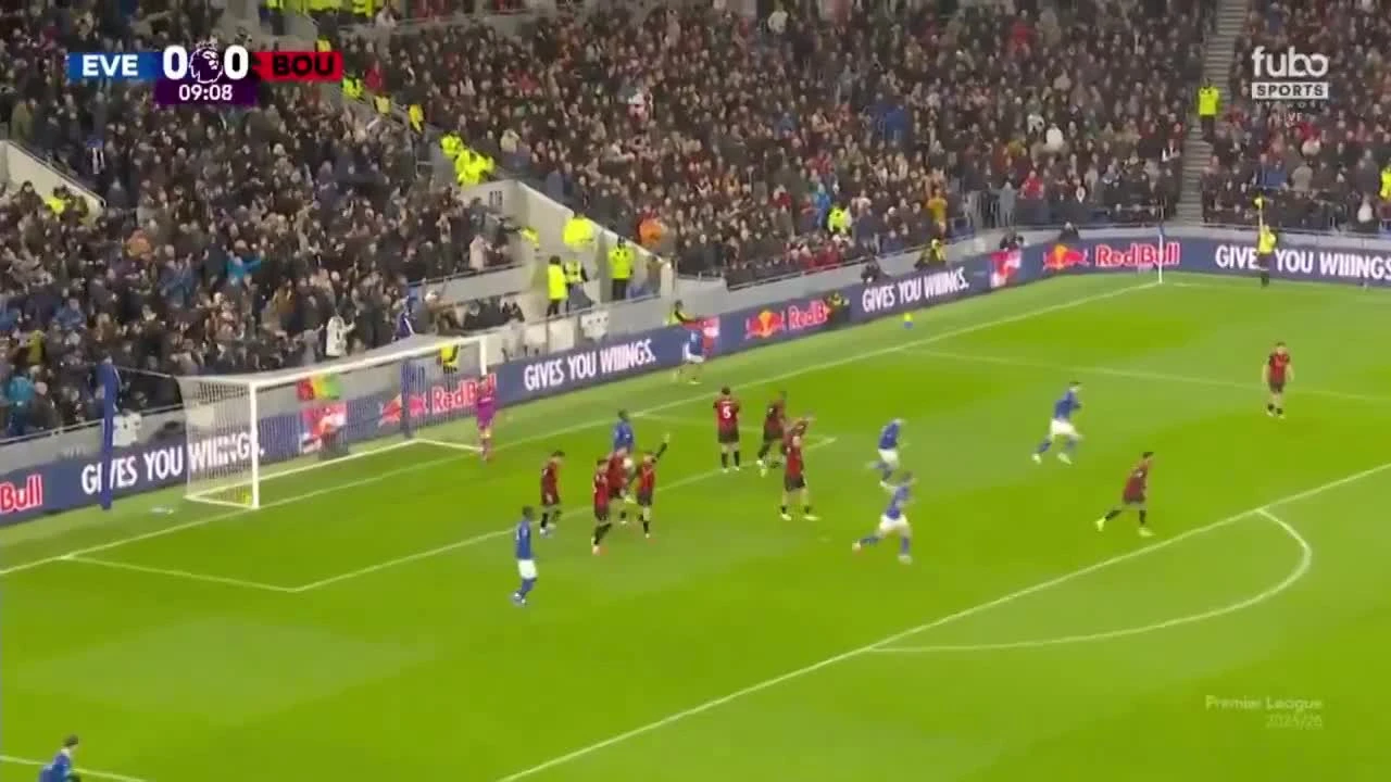 zaslepka skrotu video