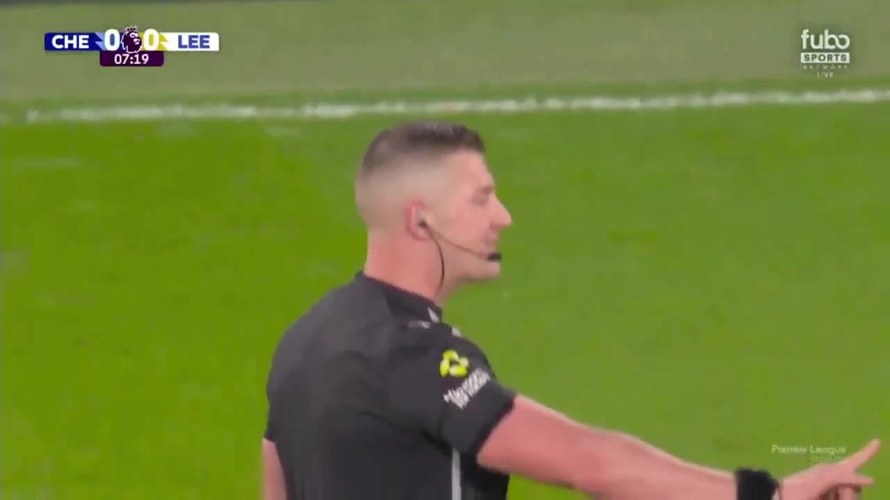 zaslepka skrotu video