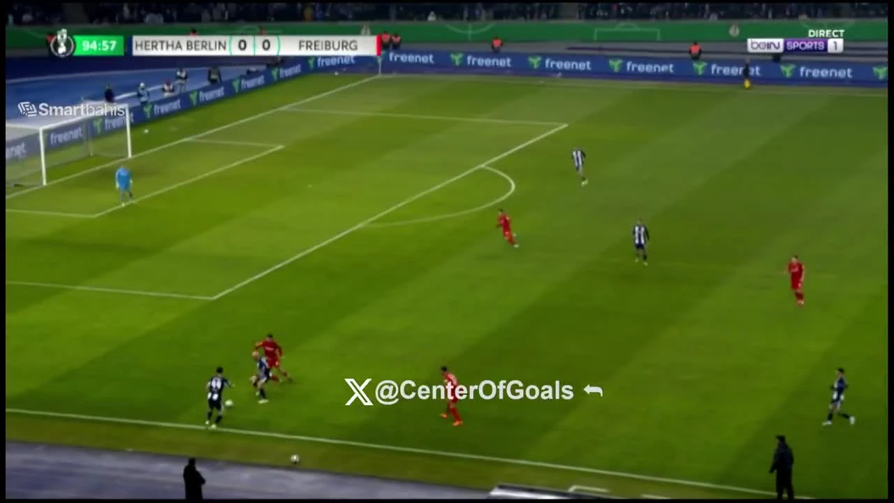 zaslepka skrotu video